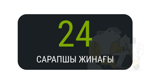 Сарапшы Жинағы 24.png